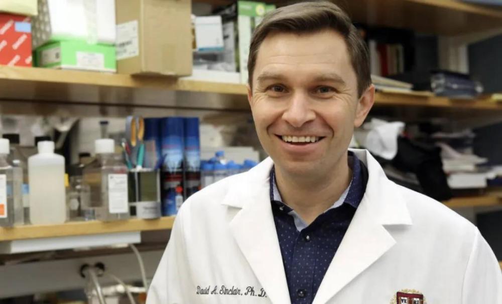 哈佛医学院 david sinclair 教授