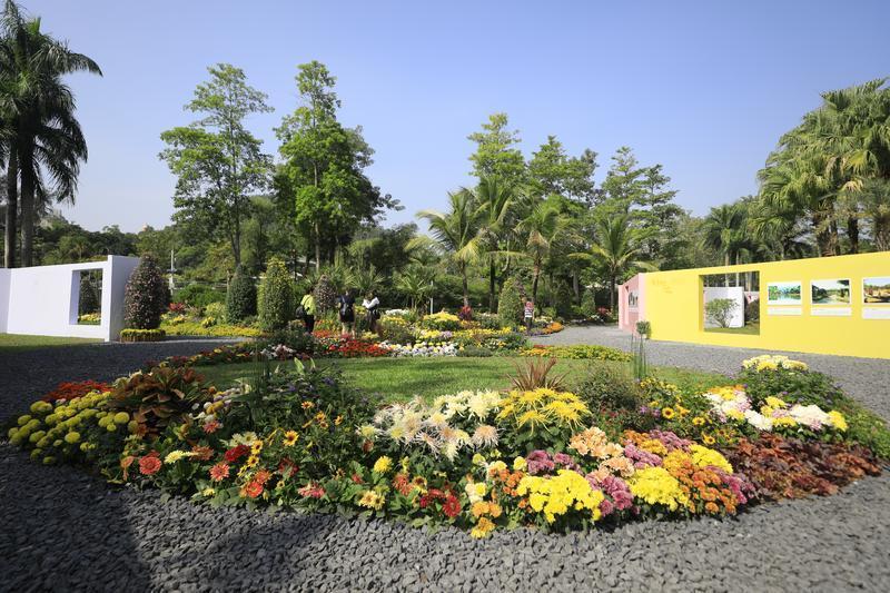 打破菊花品种限制,创新打造特色花境