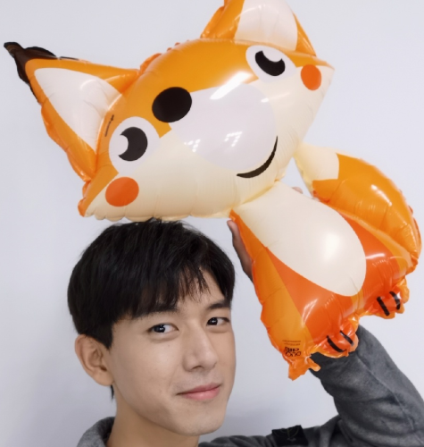 一想到又可以见到李现我就很高兴啊,现在已经是十一月底了,我的小狐狸