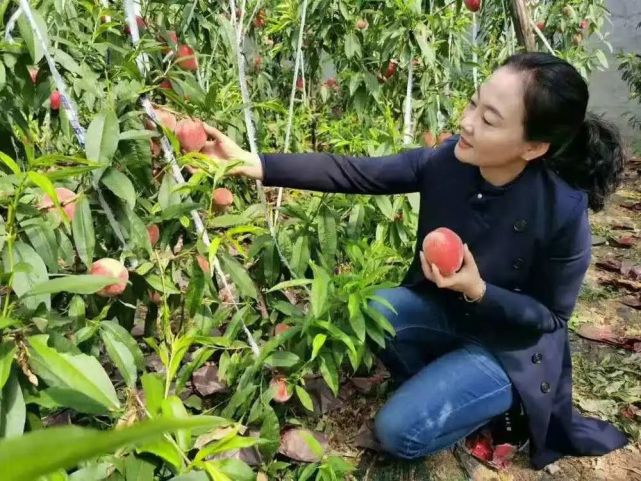 全国劳模臧永芝载誉归来为邹城骄傲点赞