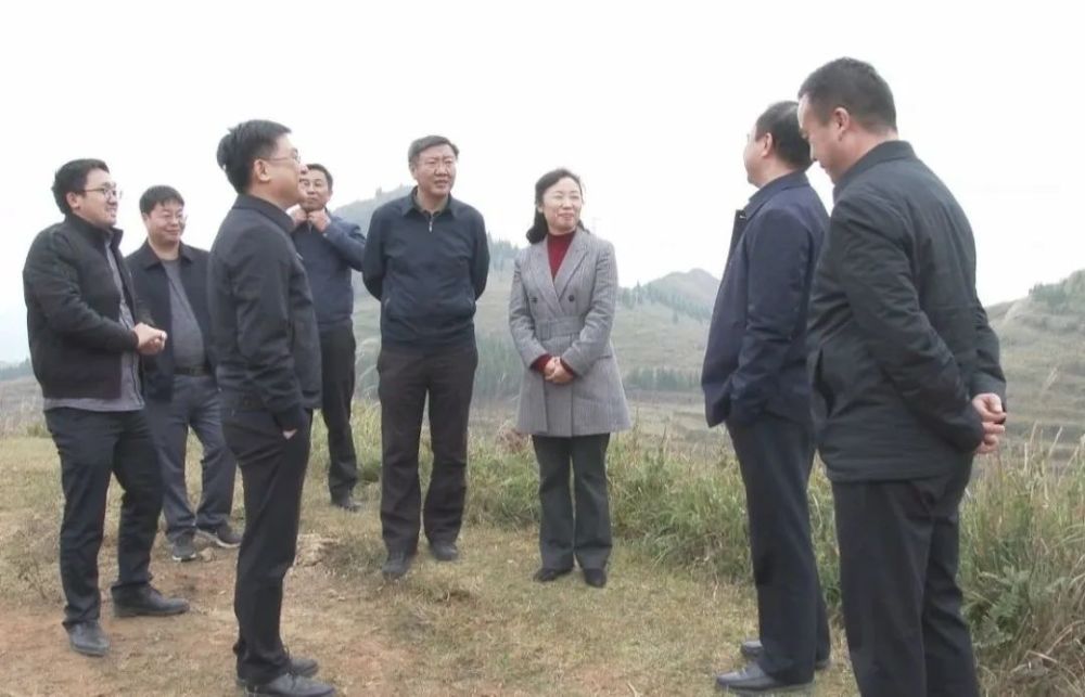 县委书记黄波,县委副书记韦锋,县委常委,统战部部长,县牛办主