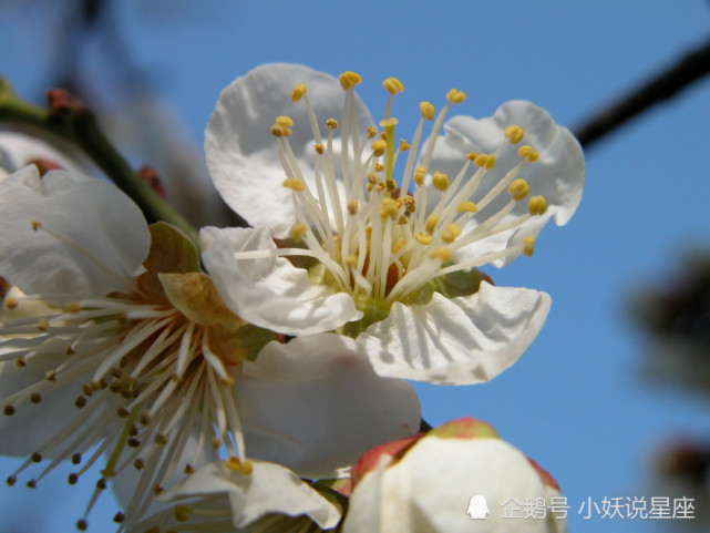 11月27日星座运势 养精蓄锐 霸气回归的四大星座 星座运势 星座 双鱼座 双子座 运势 天蝎座