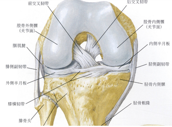 膝关节疼 关节炎 骨科医生 根据这5 个位置找原因 腾讯新闻