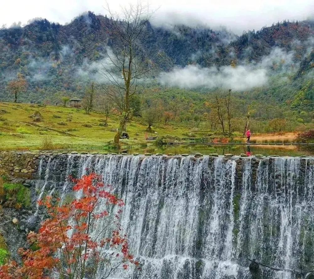 嘉州游园记|黑竹沟国家森林公园,一个美丽且神秘的地方_腾讯新闻