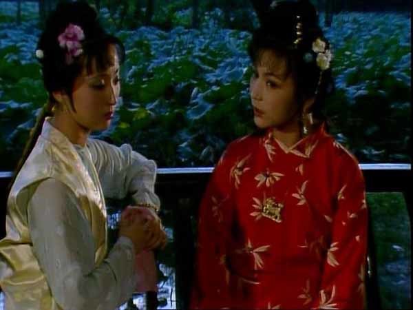 贾政对黛玉是什么态度他到底支持金玉还是木石婚姻