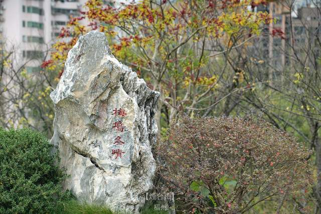 烟台山有座烟台山公园,位于仓山区梅坞(亦名藤山)顶,几年前还是一片