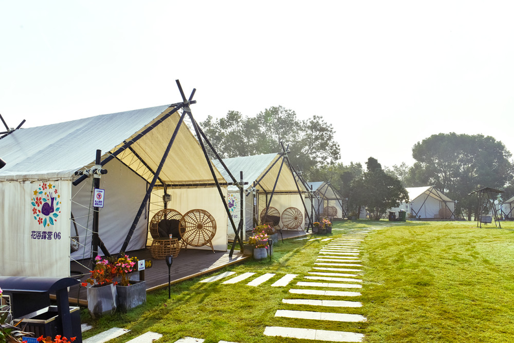 美呆了这个低调的花海露营地随手一拍就能刷爆朋友圈