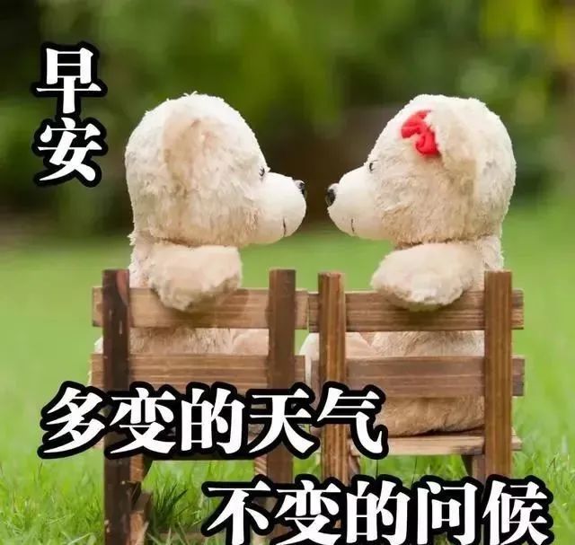 微信早上好经典祝福问候语早上好问候图片和文字