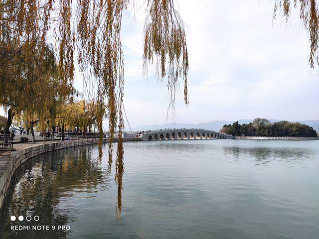 平民的1亿像素红米note9pro样张来了画质越级挑战