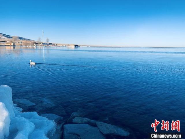 青海湖是淡水湖还是咸水湖_青海湖是淡水湖还是咸水湖有鱼吗