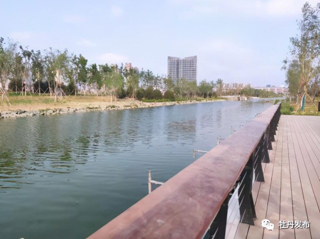 实地探访环堤公园北段工程!