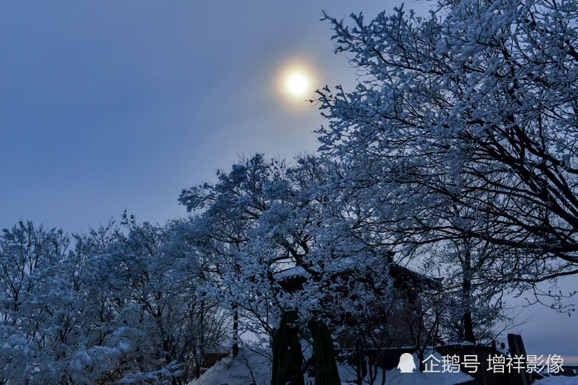王屋太行别样美,月光雪夜更壮丽!邓国晖对外发布