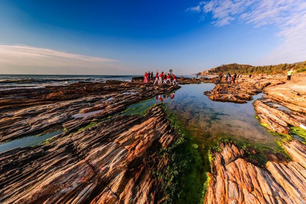 吃蚝正当时!到惠州生蚝网红村打卡只需