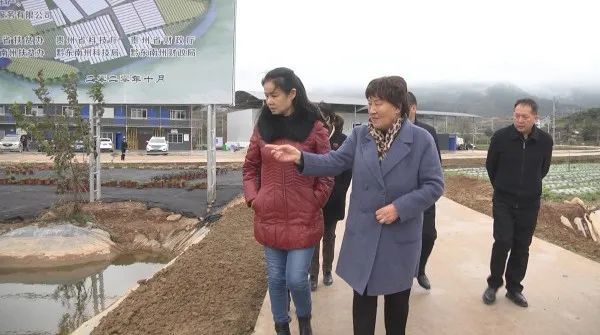 省科学技术厅副厅长雷文蓉赴我县调研督导脱贫攻坚成果巩固提升乡村
