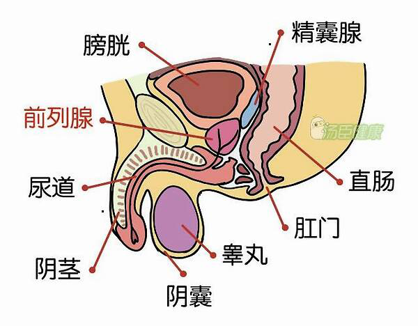 辛辣刺激性食物如辣椒