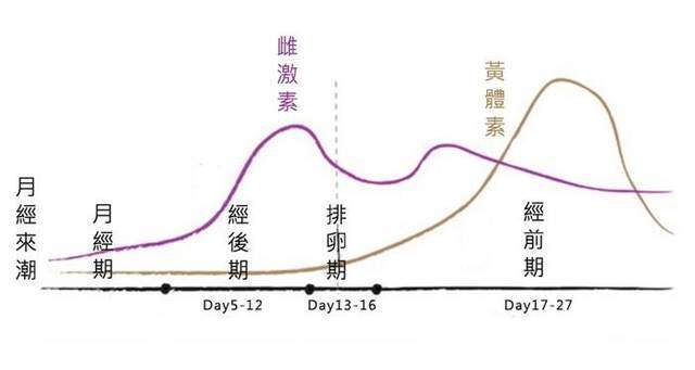 月經是由週期性的子宮內膜脫落出血產生的.