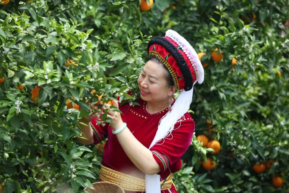 致敬劳模张冬梅用朴实底色书写五彩人生