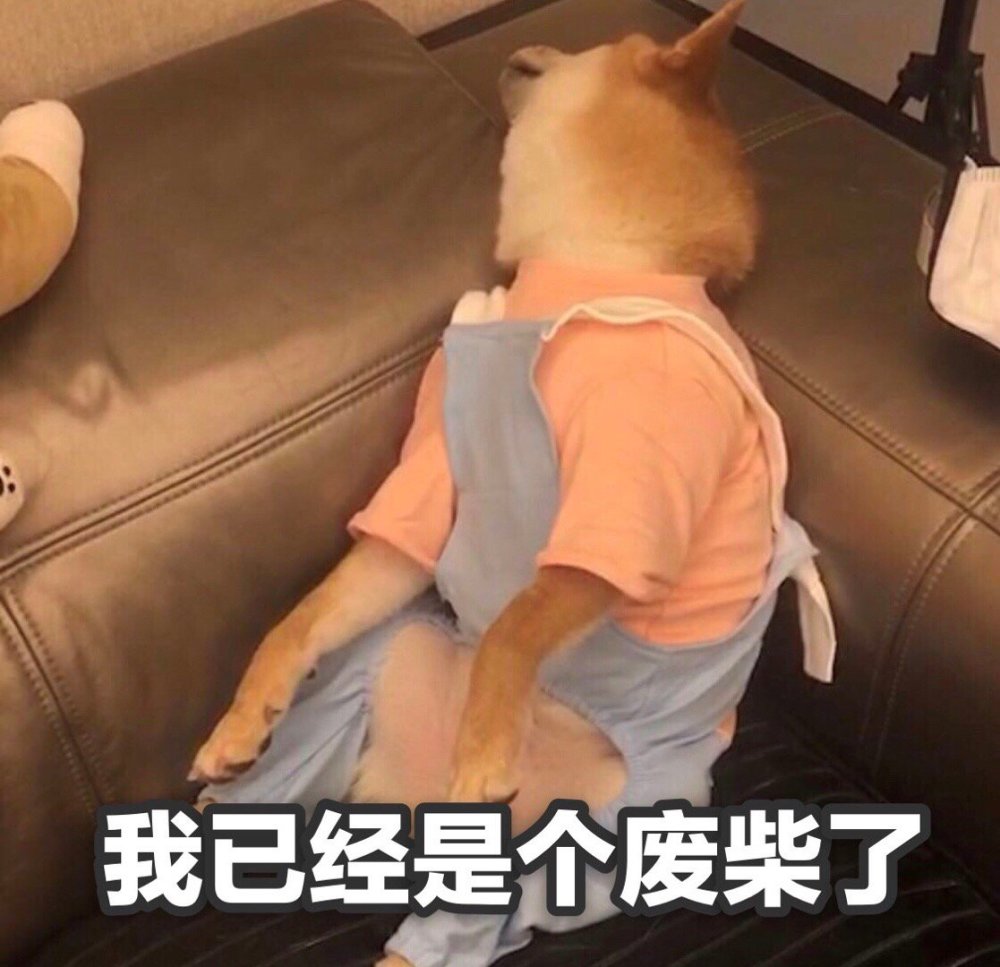 萌宠表情包:我已经是个废柴了!
