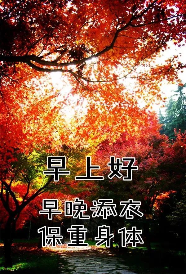 11月28日週六最新早上好問候動態表情圖片 早上好曖心圖片祝福語錄