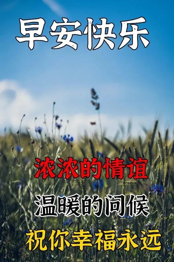11月28日周六最新早上好问候动态表情图片早上好暧心图片祝福语录