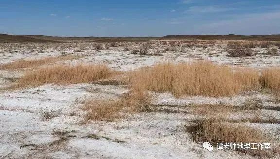 地下水影响土壤盐碱的关键问题是地下水位的高低及地下水矿化度的大小