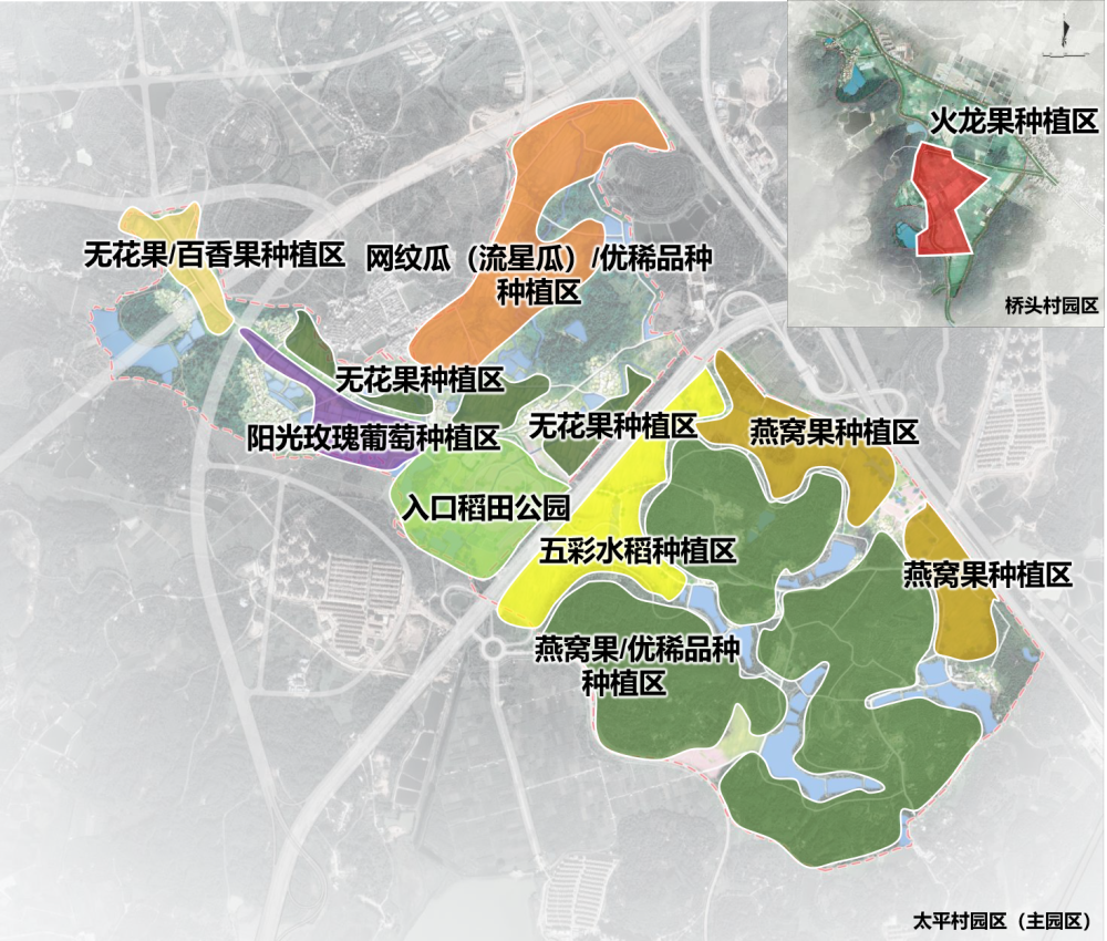 增城荔湖街乡丰农园田园综合体试种日本高端网纹瓜成功