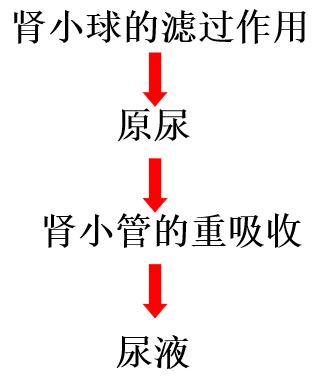 實例二:人體水鹽平衡的調節4,調節方式:神經調節, 神經—體液調節3