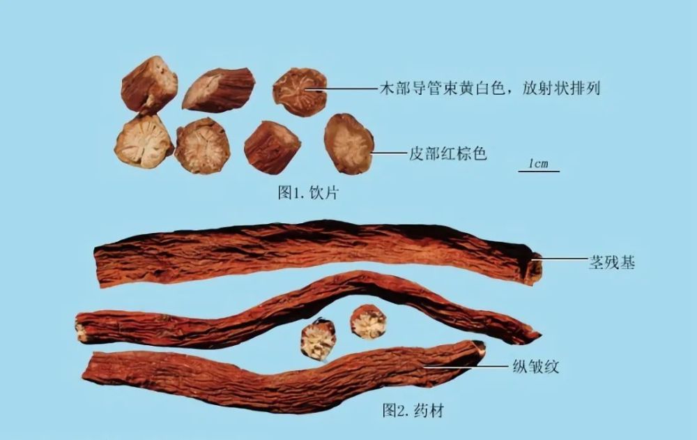 清风典历暮春三月江南草长