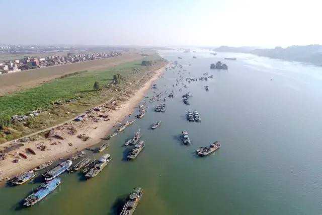 佛山市三水大塘有一个水上世外桃源,这里的人以船为家以捕鱼为生