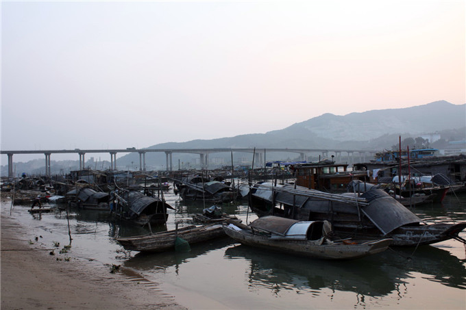 佛山市三水大塘有一个水上世外桃源,这里的人以船为家以捕鱼为生