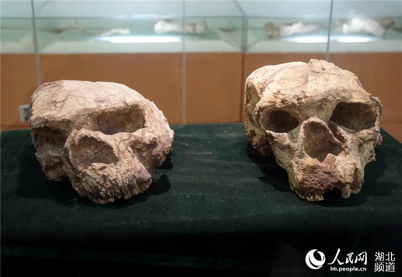 人"头骨化石发现30周年学术研讨会上,"中国郧阳古人类研究中心"揭牌