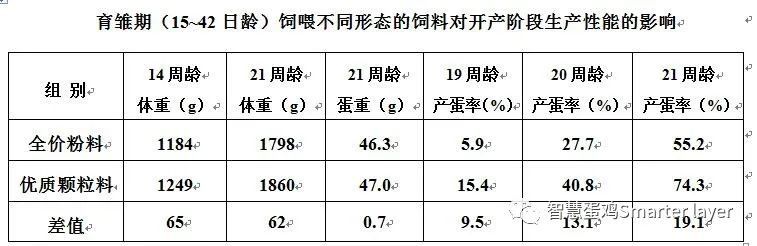养殖技术 蛋鸡育雏后期饲料 您用对了吗 腾讯新闻