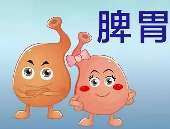 养生先养脾胃!脾胃虚弱如何调理?_腾讯新闻