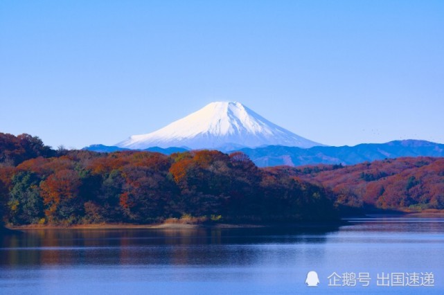 日本青山大学招生赛脸看颜值 腾讯网