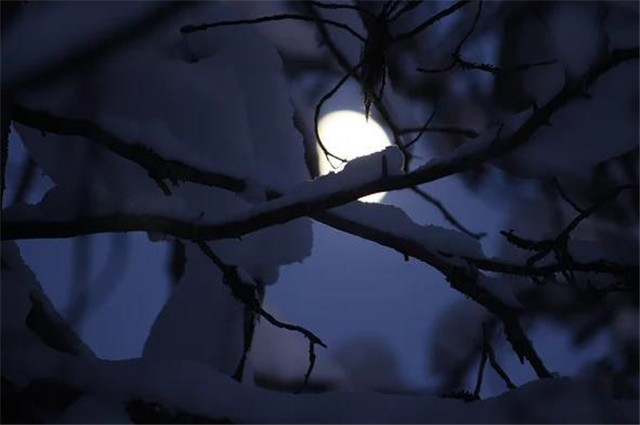 下元节的月亮与月光诗五首,雪月交光夜,瑶台十二层