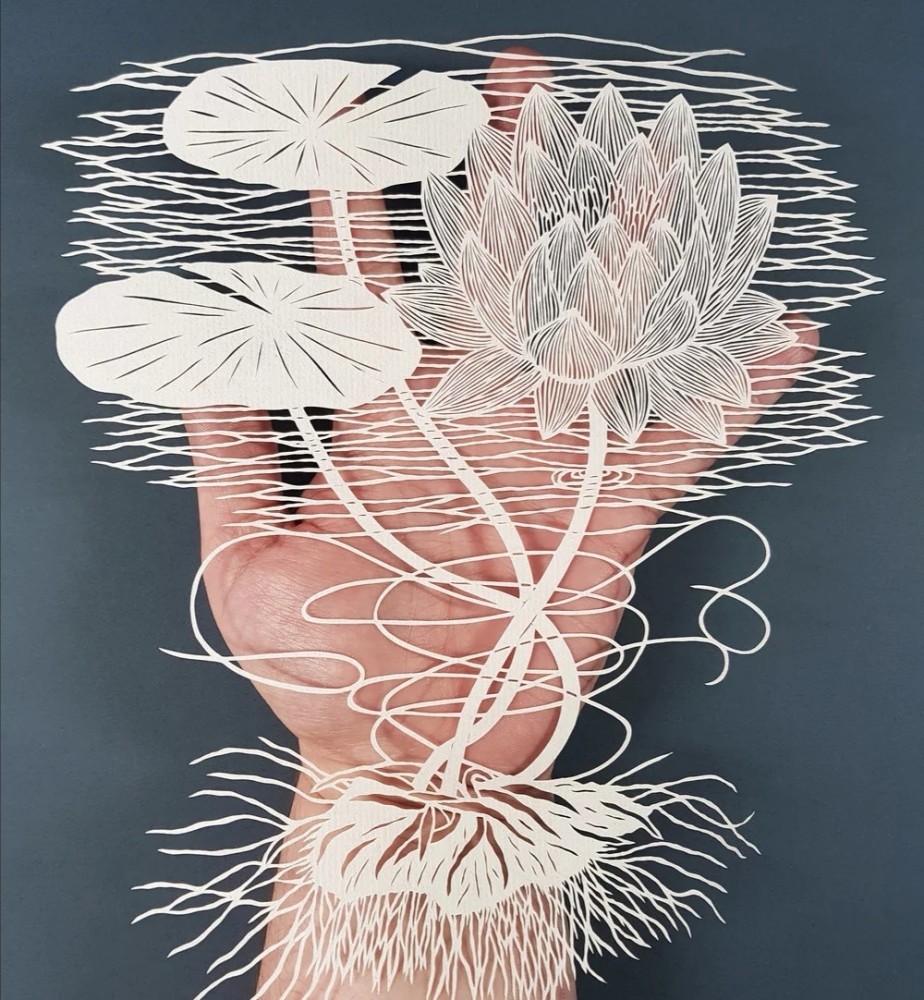 美轮美奂英国艺术家pippadyrlaga的纸雕作品