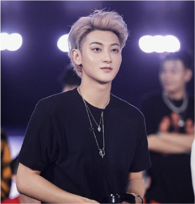 华语歌手排名2020最_华语男歌手排行榜,引起争议几乎全是,流量小鲜肉明