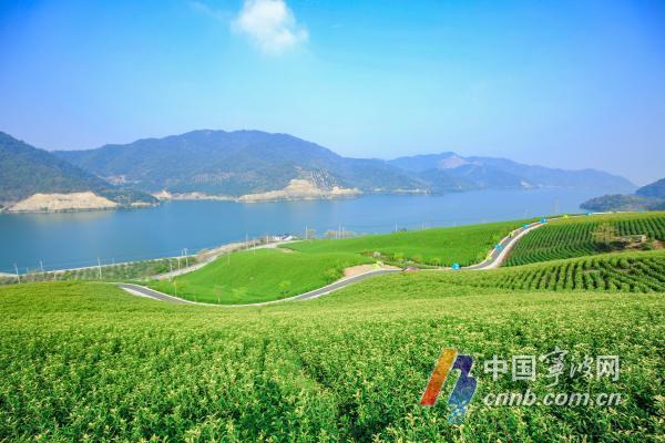 总投资3.5亿元 横溪金鹅湖康养产业示范区一期项目开工