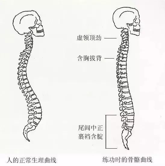 第二,虚领顶劲.