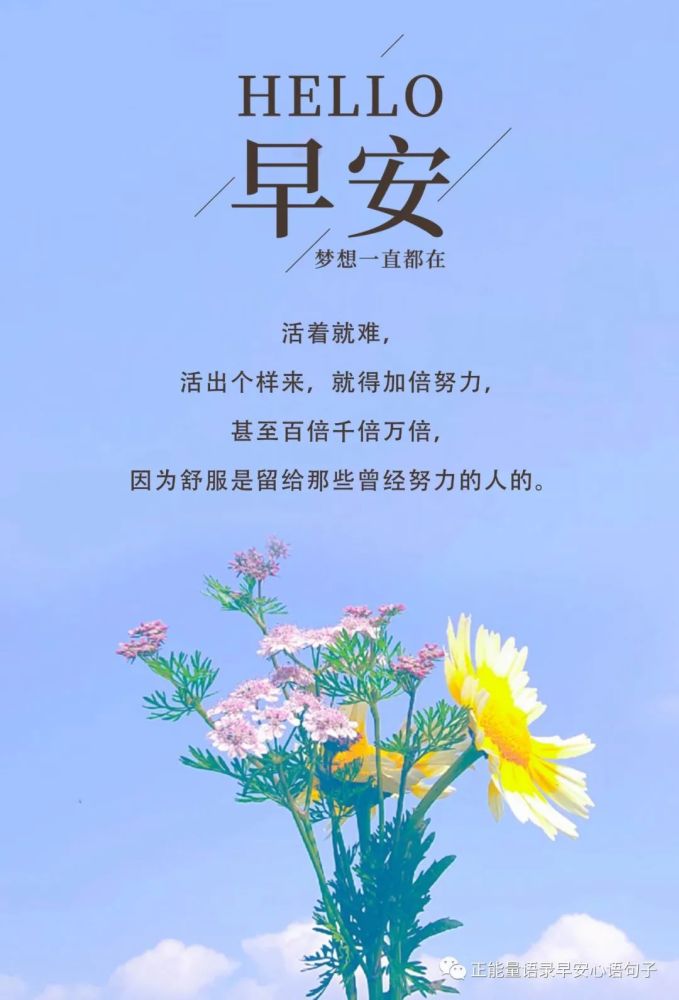 12月28日早安心语|微信早安问候语图片,早安正能量语录励志句子