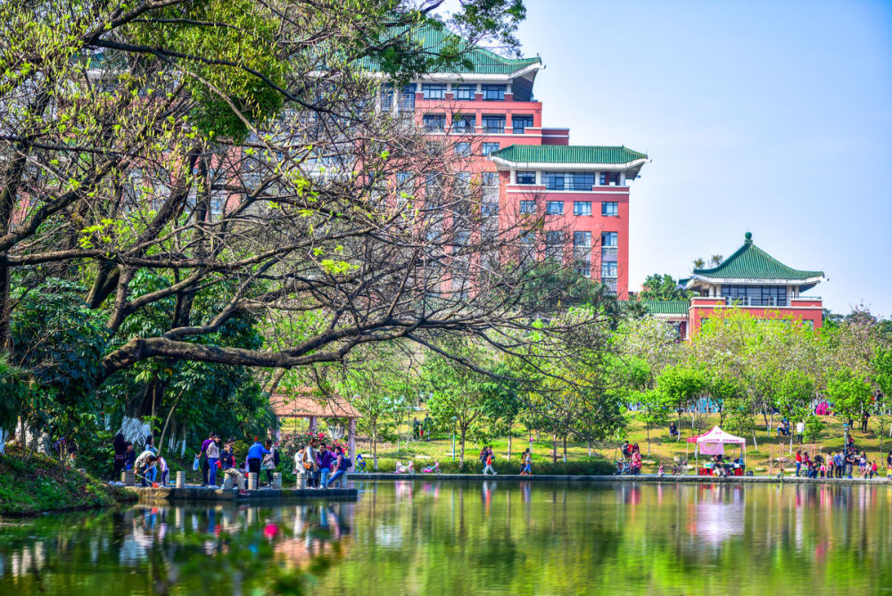 广东省所有大学排名_广东龙门举办鹩哥排名菜心推介会(2)