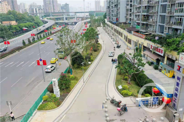 发现重庆之美九龙坡区这条最美人行道越走越美