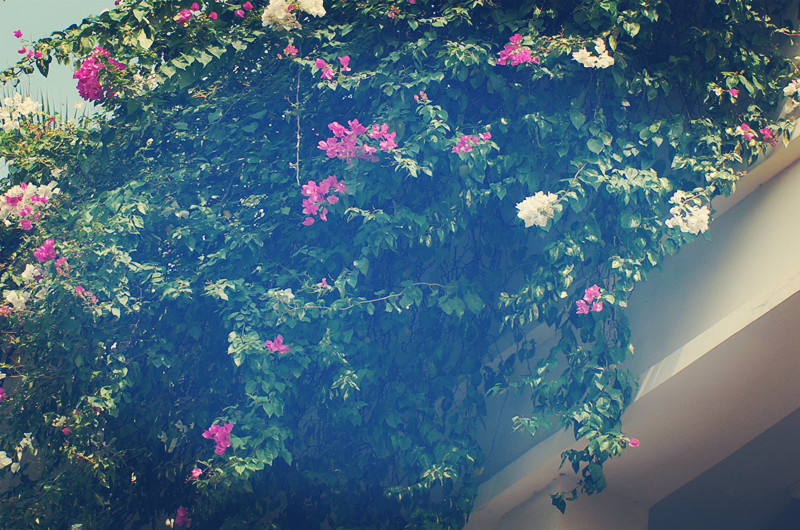 新闻专业大学排名_2017年U.S.News全球最佳大学排名(2)