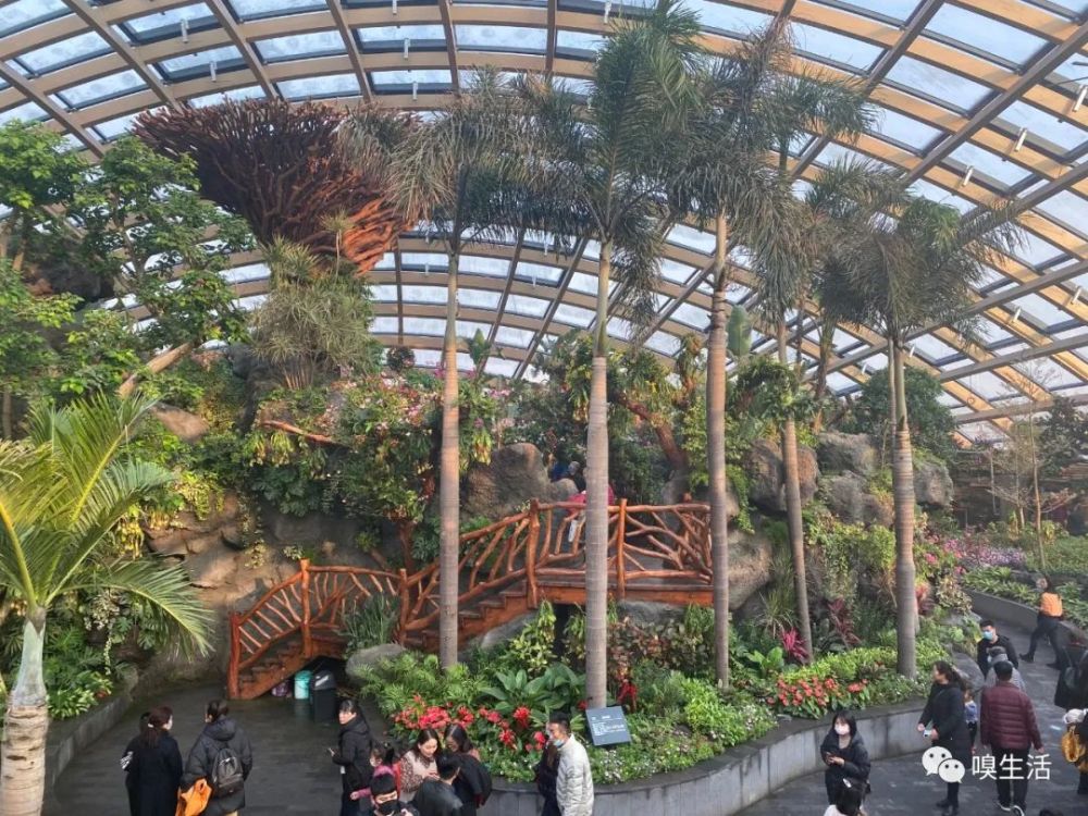 太原植物园,不仅仅是一个网红拍照地