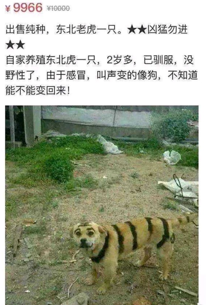 沙雕网友都在咸鱼上卖了些什么?哈哈哈哈笑死了