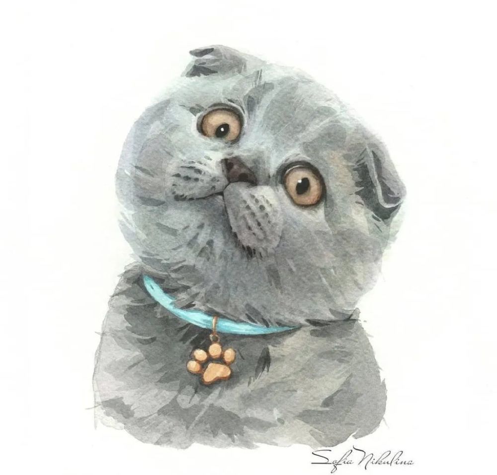 清新可爱的水彩小动物,童话里简单快乐的生活