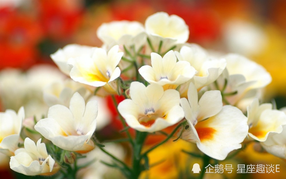 11月30日星座运势 重燃斗志 高歌猛进的四大星座 腾讯新闻