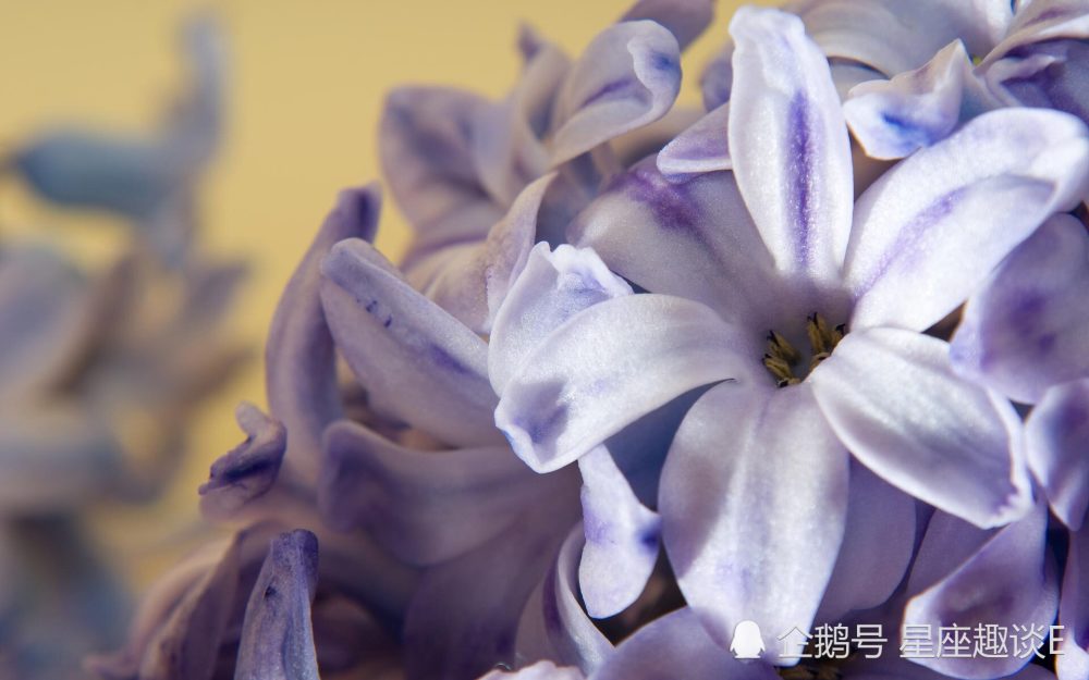 11月30日星座运势 重燃斗志 高歌猛进的四大星座 腾讯新闻