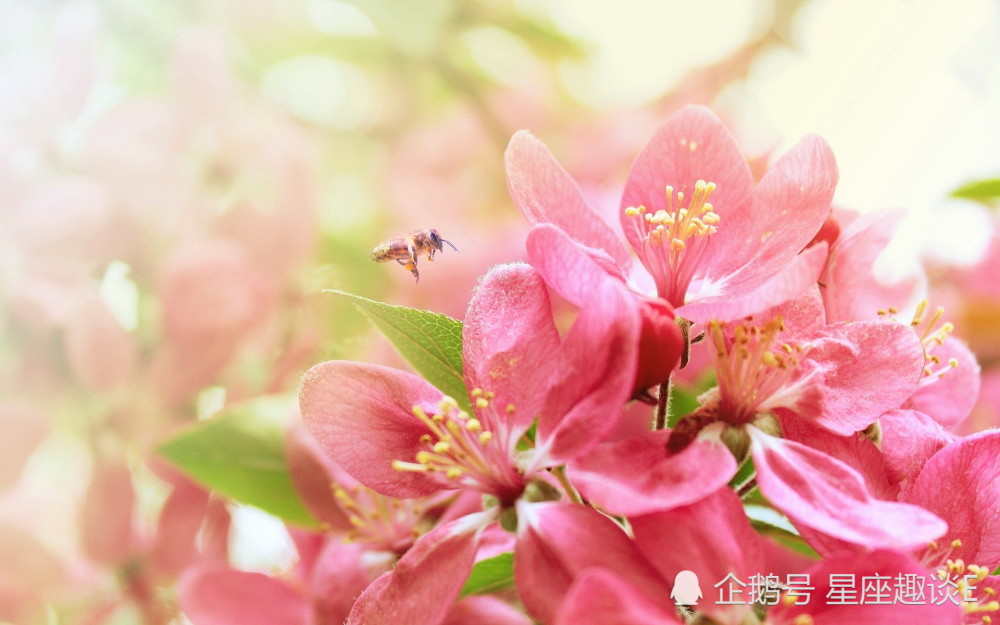 11月30日星座运势 重燃斗志 高歌猛进的四大星座 腾讯新闻