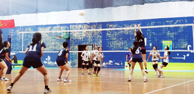 龙港市第十二中学任岩松中学排球队成立于2001年10月,前身为丽岙华侨